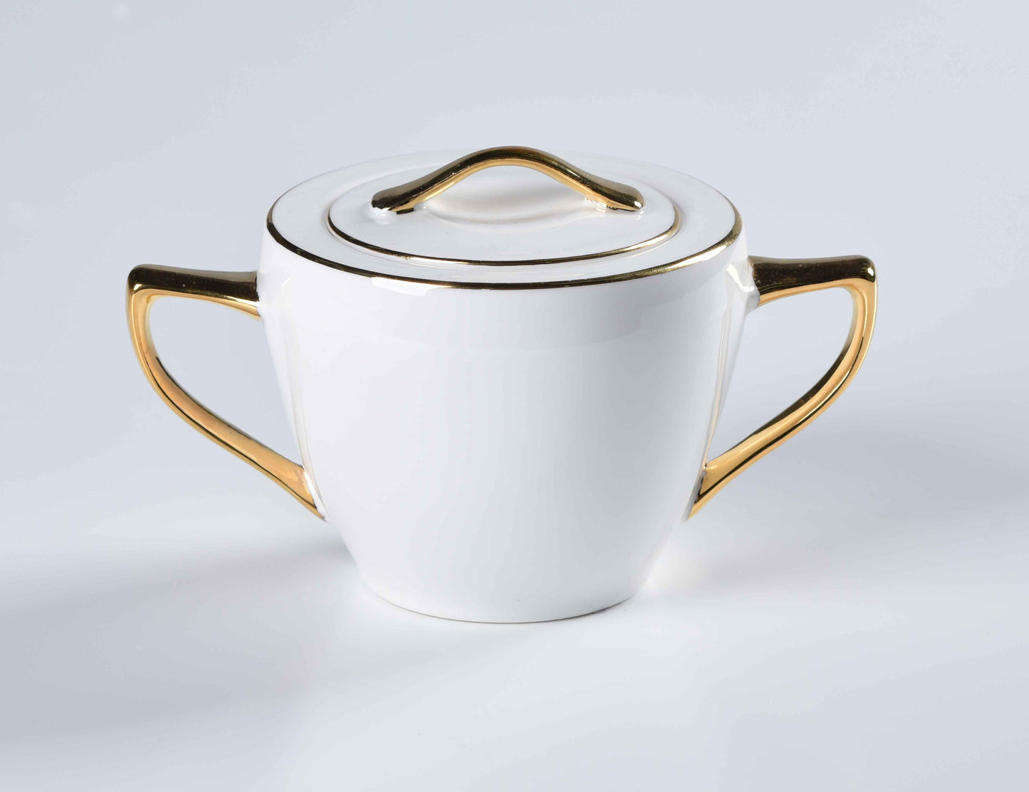REGAL FINE DINING SET - 60 PIECE DINNER SET FOR 6 PEOPLE - FREYA - GOLD