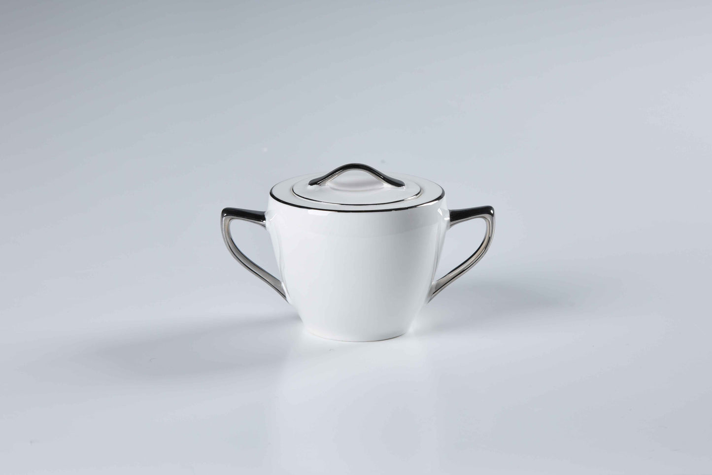 REGAL FINE DINING SET - 60 PIECE DINNER SET FOR 6 PEOPLE - FREYA - PLATINUM