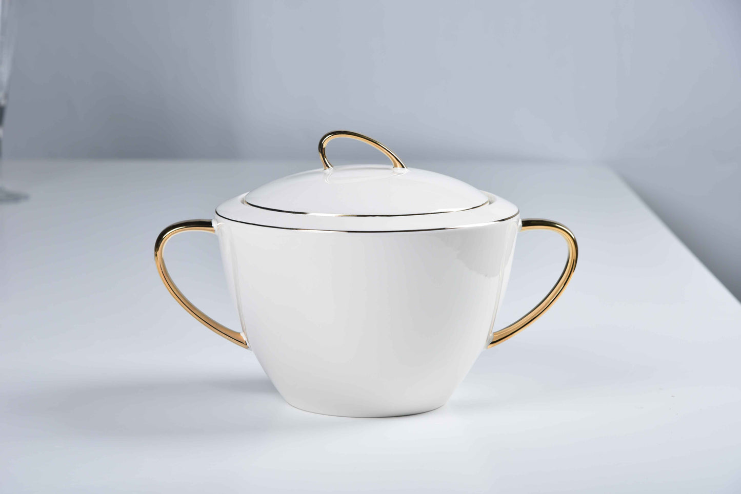 ETERNA PORCELAIN - 60 PIECE DINNER SET FOR 6 PEOPLE - ORGANIC - YZ24-001 - GOLD