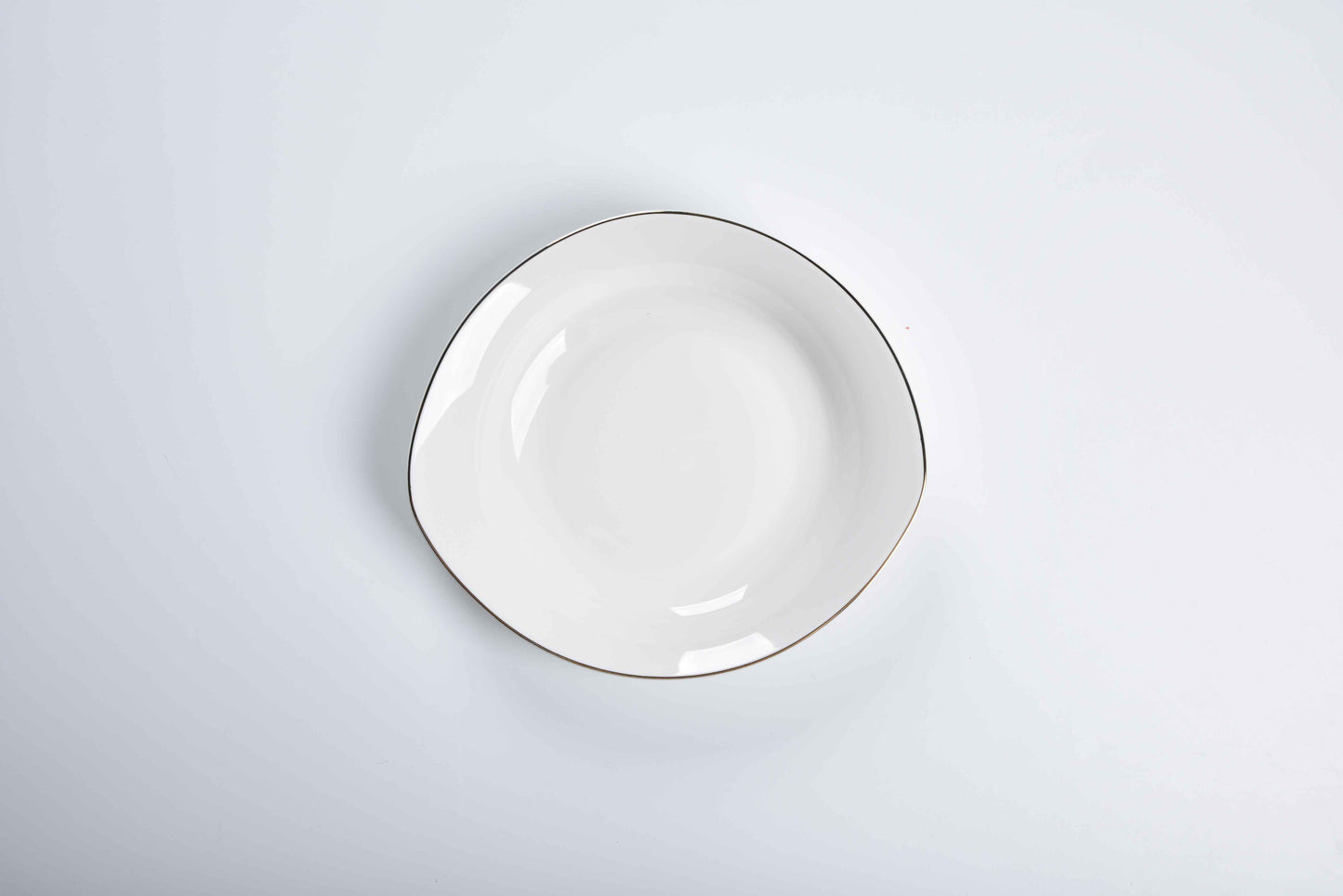 ETERNA PORCELAIN - 60 PIECE DINNER SET FOR 6 PEOPLE - ORGANIC - YZ24-001 - GOLD