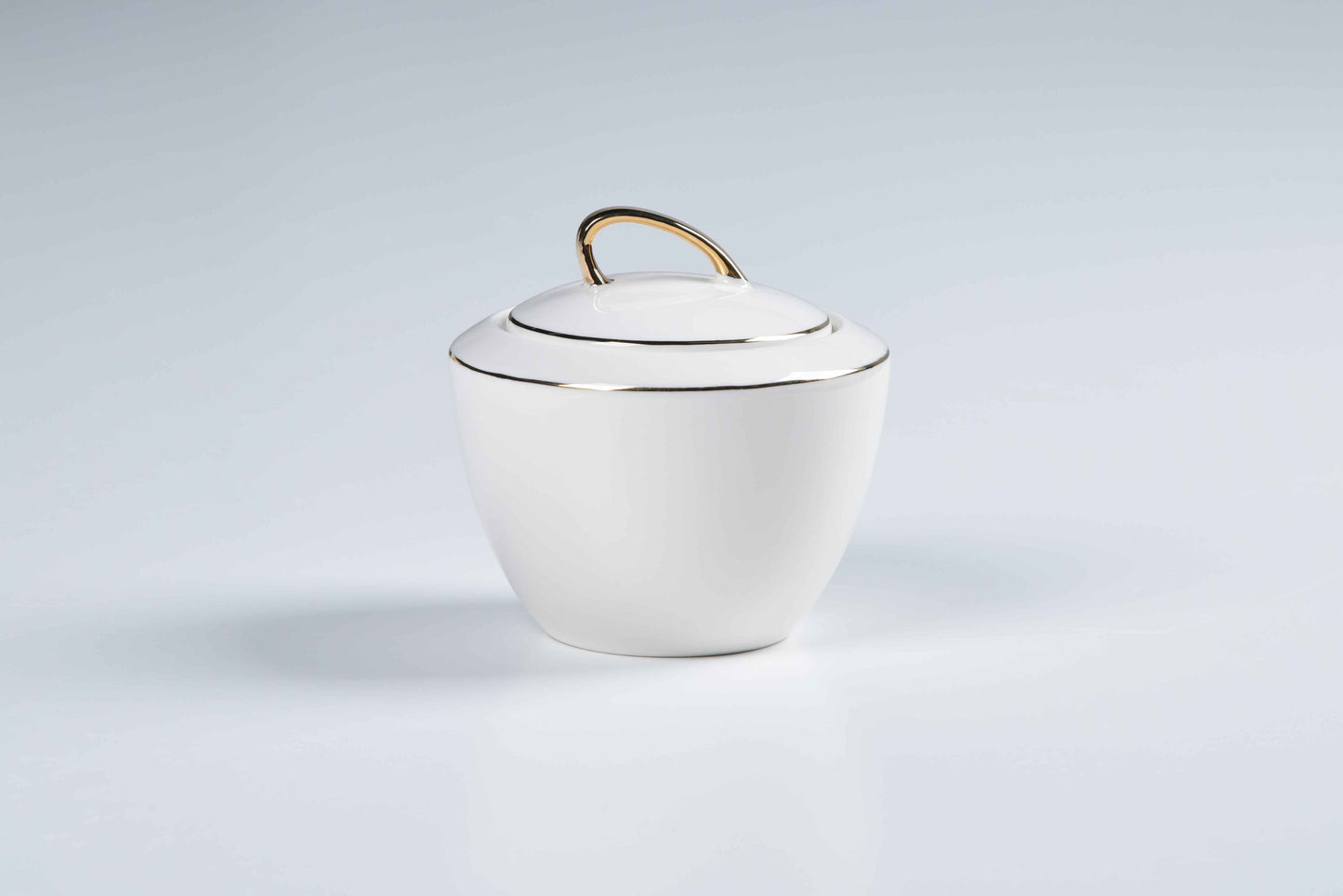 ETERNA PORCELAIN - 60 PIECE DINNER SET FOR 6 PEOPLE - ORGANIC - YZ24-001 - GOLD
