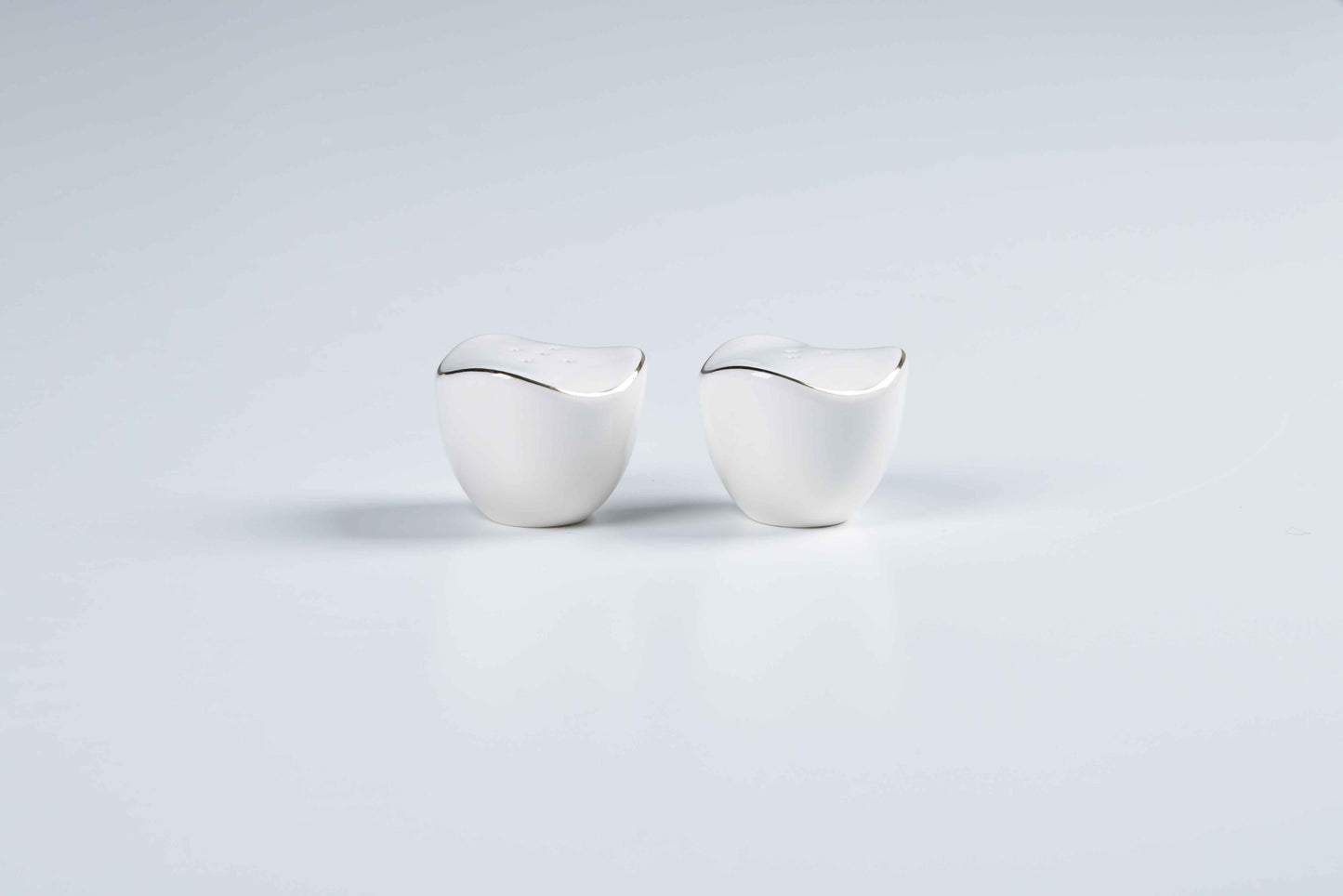 ETERNA PORCELAIN - 60 PIECE DINNER SET FOR 6 PEOPLE - ORGANIC - YZ24-001 - GOLD