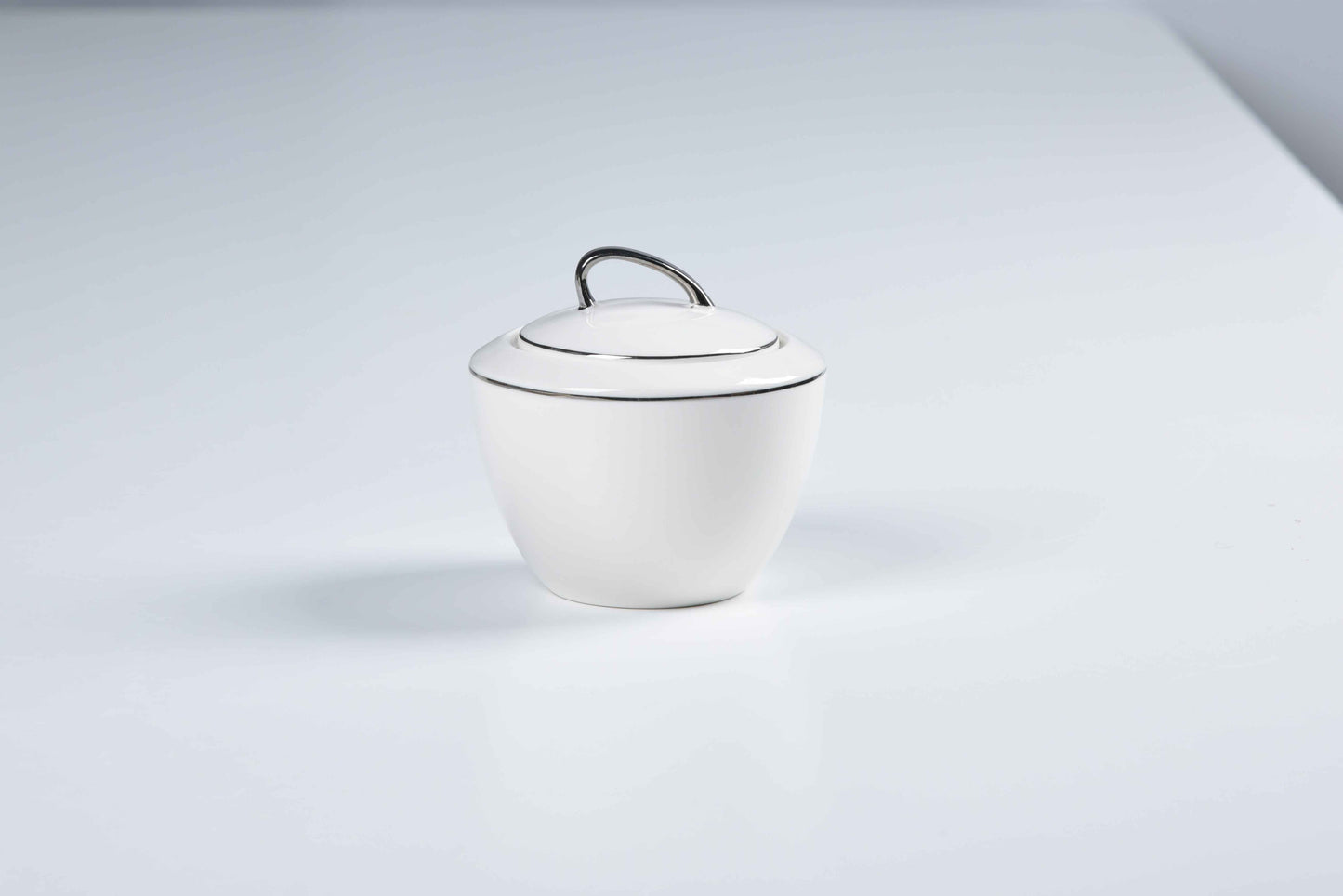 ETERNA PORCELAIN - 60 PIECE DINNER SET FOR 6 PEOPLE - ORGANIC - YZ24-001 - PLATINUM