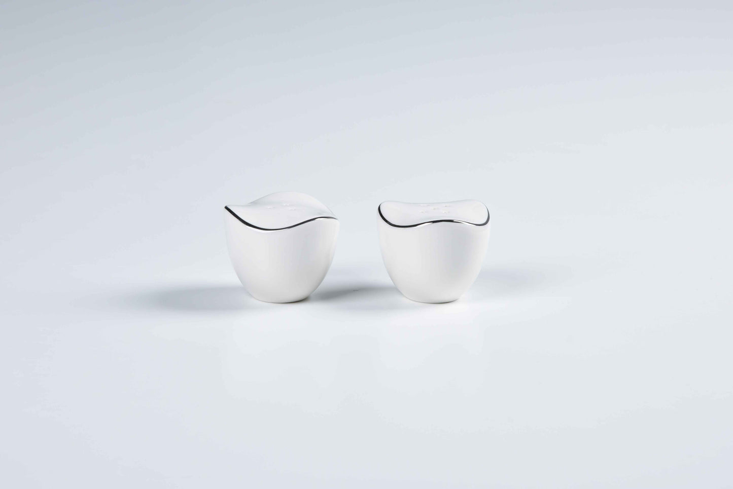 ETERNA PORCELAIN - 60 PIECE DINNER SET FOR 6 PEOPLE - ORGANIC - YZ24-001 - PLATINUM